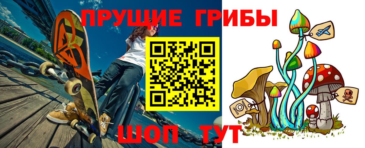 Псилоцибиновые грибы Cubensis Рославль